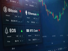 Why Do Cryptocurrencies Differ from Exchange to Exchange?