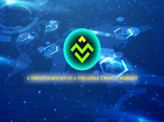 A TRUSTED HAVEN IN A VOLATILE CRYPTO MARKET