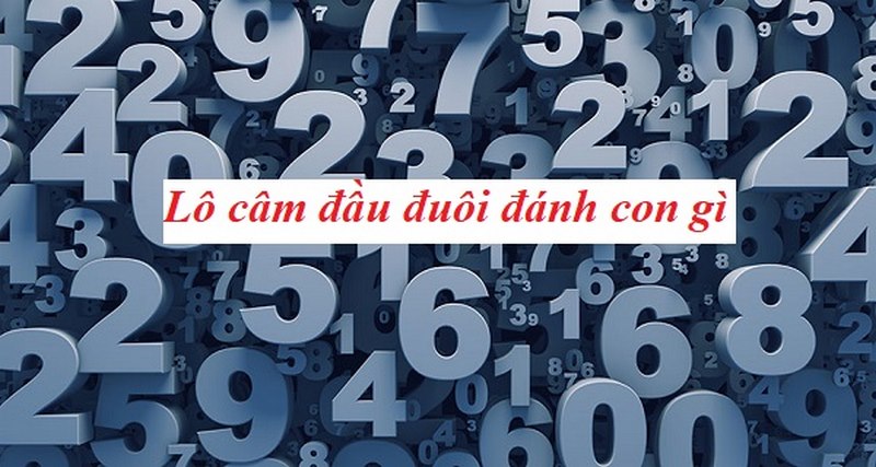 cá cược theo lô câm uk88