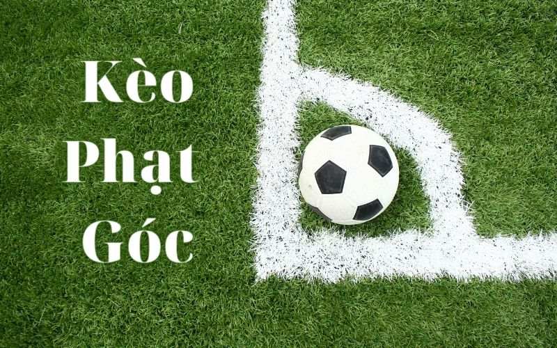 không tìm hiểu trận đấu khi cược uk88